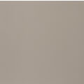 APARICI NEUTRAL VISON GRES REKTYFIKOWANY 29.75X29.75 