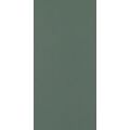 PARADYŻ NEVE CREATIVE DARK GREEN MAT PŁYTKA ŚCIENNA 9.8X19.8 