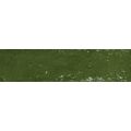 CERRAD PALETTE GREEN KLINKIER 7.4X30 