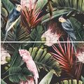 CERAMIKA COLOR PARROTS KOMPL=2 SZT DEKOR 30X60 