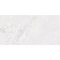 FANAL PLANET WHITE METAL SHINE GRES REKTYFIKOWANY 60X120 