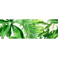 BIANCA GARDEN TROPIC B DEKOR 25X75 