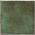 EQUIPE SPA&POOLS MOSS GREEN BRILLO GRES 15X15 (31566) 