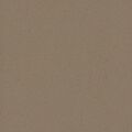 STARGRES STARDUST BEIGE GRES TECHNICZNY 30.5X30.5 