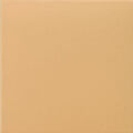 MAINZU CERAMICA TECHNICAL TANGERINE GRES 20X20 