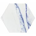 REALONDA THASSOS BLUE GRES 48.5X56 