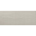 APE CERAMICA THIS IS GREY PŁYTKA ŚCIENNA 20X50 