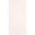 TUBĄDZIN TOUCH WHITE PŁYTKA ŚCIENNA 29.8X59.8 