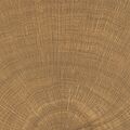 PROVENZA W-CIRCLES WALNUT GRES 10X10 