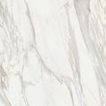 COTTO TUSCANIA WHITE MARBLE CALACATTA ORO GRES REKTYFIKOWANY 61X61 