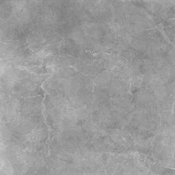 Ag Home, Alta, AG HOME ALTA GREY GRES REKTYFIKOWANY 59.7X59.7 