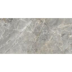 Ag Home, Sofija, AG HOME SOFIJA SILVER GRES SILKY CRISTAL REKTYFIKOWANY 59.7X119.7 