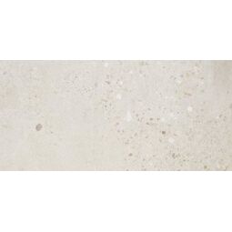 Alaplana, Illusion, ALAPLANA ILLUSION GRIS GRES REKTYFIKOWANY 60X120 