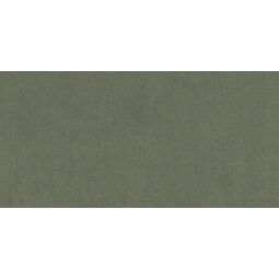 Aparici, Stitch, APARICI STITCH GREEN GRES REKTYFIKOWANY 49.75X99.55 