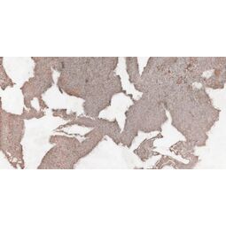 Aparici, Wonder, APARICI WONDER ROSSO GRES REKTYFIKOWANY 49.75X99.55 