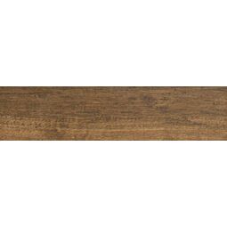 Aparici, Branch, APARICI BRANCH TEAK GRES NATURAL 24.9X100 