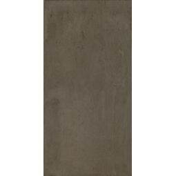 Aparici, Brave, APARICI BRAVE VISON GRES REKTYFIKOWANY 49.75X99.55 