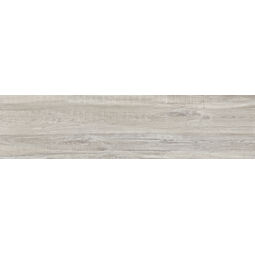 Aparici, Camper, APARICI CAMPER ASH GRES REKTYFIKOWANY 24.75X99.55 