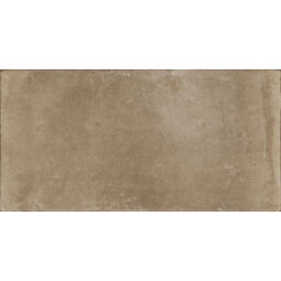 Aparici, Cotto, APARICI COTTO BROWN OUTDOOR 2CM GRES 50X100 