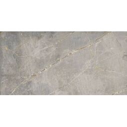 Aparici, Dstone, APARICI DSTONE ASH LEKUE NATURAL GRES REKTYFIKOWANY 49.75X99.55 