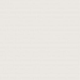 Aparici, Fabrique, APARICI FABRIQUE GREY GRES REKTYFIKOWANY 59.55X59.55 