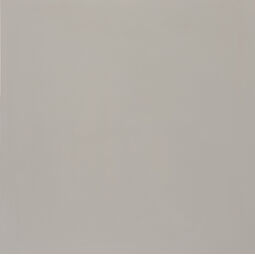 Aparici, Neutral, APARICI NEUTRAL BEIGE GRES REKTYFIKOWANY 29.75X29.75 