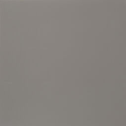Aparici, Neutral, APARICI NEUTRAL GRIS GRES REKTYFIKOWANY 29.75X29.75 