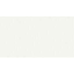 Aparici, Tex, APARICI TEX IVORY NATURAL GRES REKTYFIKOWANY 49.75X99.55 