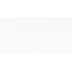 Ape Ceramica, All White, APE CERAMICA ALL WHITE SHINE PŁYTKA ŚCIENNA 30X60 