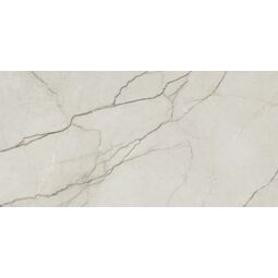 Ape Ceramica, Amboise Lux, APE CERAMICA AMBOISE LUX GRES MAT REKTYFIKOWANY 60X120 