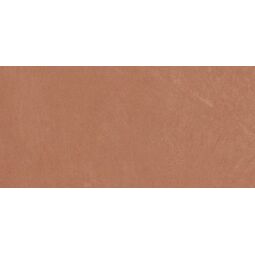 Ape Ceramica, Argillae, APE CERAMICA ARGILLAE CORAL GRES REKTYFIKOWANY 30X60 