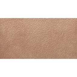 Ape Ceramica, Argillae, APE CERAMICA NISUS GOBI GRES REKTYFIKOWANY 60X120 