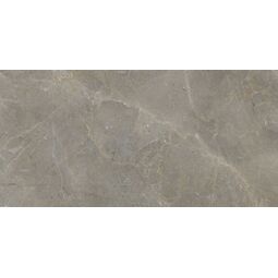 Ape Ceramica, Augustus, APE CERAMICA AUGUSTUS BROWN NATURAL GRES REKTYFIKOWANY 60X120 