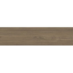 Ape Ceramica, Luxor, APE CERAMICA LUXOR FUOCO GRES 22.5X90 