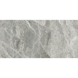 Ape Ceramica, Silver Grey, APE CERAMICA SILVER GREY GRES POLER REKTYFIKOWANY 60X120 