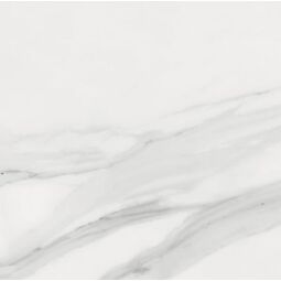 Ape Ceramica, Statuary, APE CERAMICA STATUARY MATT PŁYTKA PODŁOGOWA 60X60 