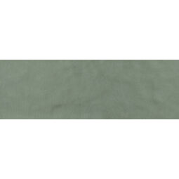 Ape Ceramica, Stay, APE CERAMICA STAY GREEN PŁYTKA ŚCIENNA 20X60 