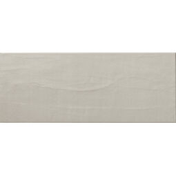 Ape Ceramica, This Is, APE CERAMICA THIS IS GREY PŁYTKA ŚCIENNA 20X50 