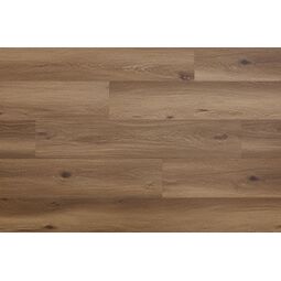 Arbiton, Woodric Eir, ARBITON WOODRIC EIR DĄB DALLAS PANEL WINYLOWY 22.9X122 