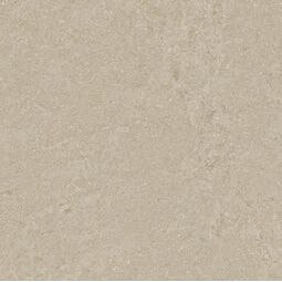 Arcana, Cupola, ARCANA CUPOLA-R TAUPE GRES REKTYFIKOWANY 120X120 