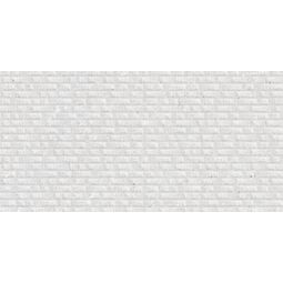 Argenta, Avenza, ARGENTA AVENZA RAKE LIGHT MATT PŁYTKA ŚCIENNA 25X50 