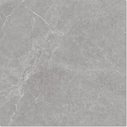 Argenta, Storm, ARGENTA STORM GREY GRES REKTYFIKOWANY 60X60 