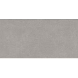 Argenta, Tanum, ARGENTA TANUM CENIZA GRES REKTYFIKOWANY 60X120 