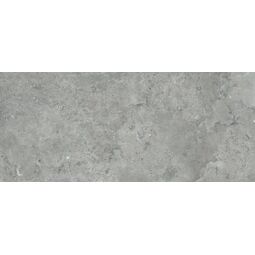 Artistica 3, Deep Stone, ARTISTICA 3 DEEP STONE ASH NATURAL GRES REKTYFIKOWANY 60X120 
