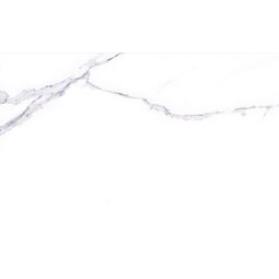 Atem, Porto, ATEM PORTO GREY PŁYTKA ŚCIENNA 25X40 