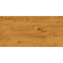 Atem, Carvalho, ATEM CARVALHO GOLD GRES 30X60 