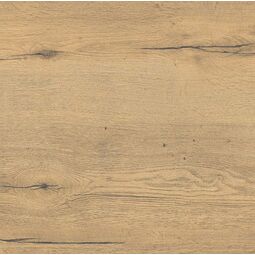 Atem, Forest, ATEM FOREST YLM GRES REKTYFIKOWANY 60X60X2 