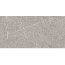 Azteca, Bellver, AZTECA BELLVER GREY GRES REKTYFIKOWANY 60X120 