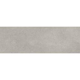 Baldocer, Arkety, BALDOCER ARKETY STEEL PŁYTKA ŚCIENNA 40X120 