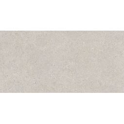 Baldocer, Brunswich, BALDOCER BRUNSWICH CENIZA GRES REKTYFIKOWANY 60X120 
